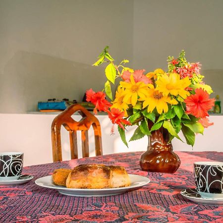 Surfing Guest House 马特勒 外观 照片